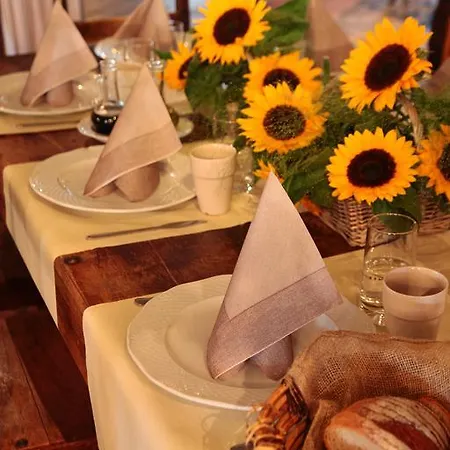 Gospoda Mlynskie Kolo Guest house *