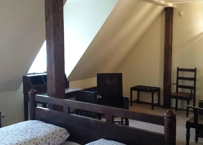 Gospoda Mlynskie Kolo בית הארחה פוזנן